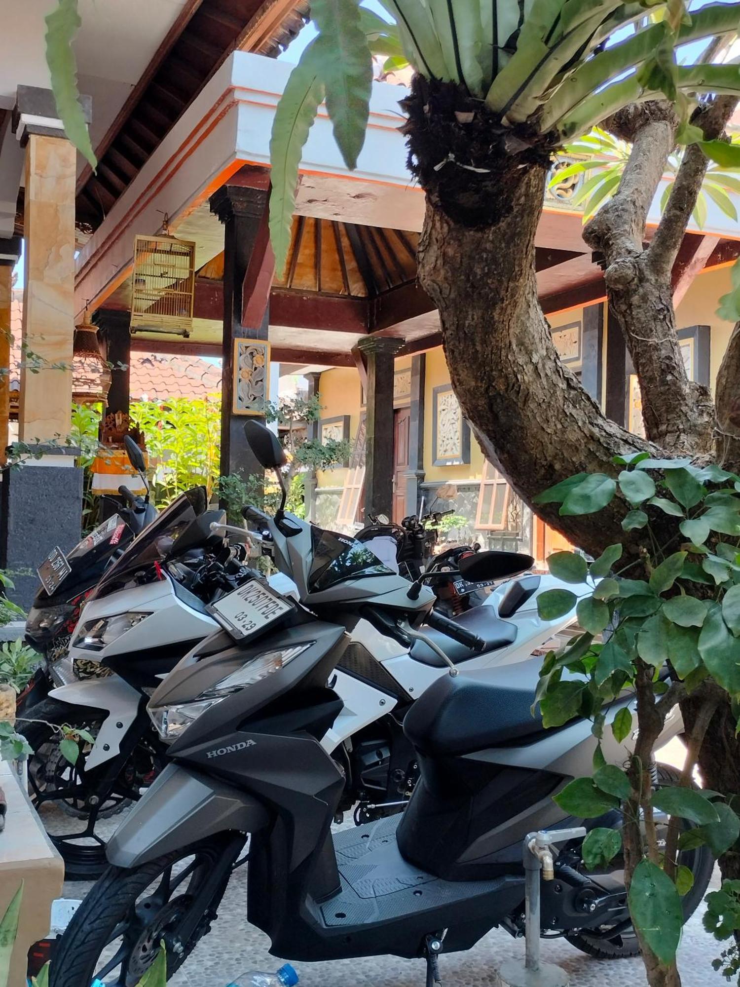 Tirtasuci House Hotel Kuta Lombok Buitenkant foto
